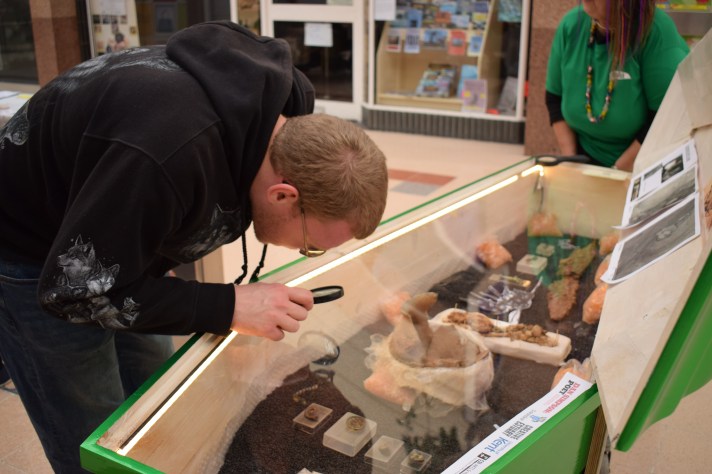 A man closely looks at Anglo-Saxon objects in the coffin display case, using a magnifying glass.